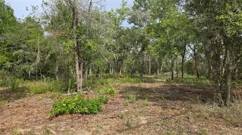 4771 N Redwood Avenue Hernando FL 34442