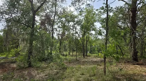 4771 N Redwood Avenue Hernando FL 34442