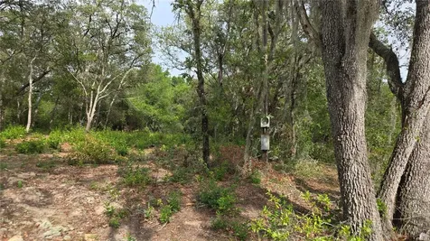 4771 N Redwood Avenue Hernando FL 34442