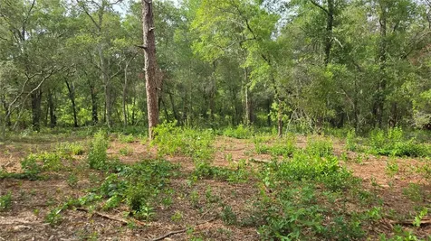 4771 N Redwood Avenue Hernando FL 34442