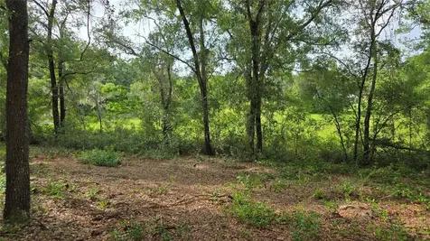 4771 N Redwood Avenue Hernando FL 34442