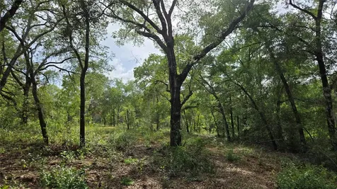 4771 N Redwood Avenue Hernando FL 34442