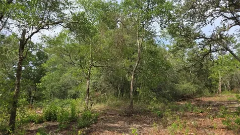 4771 N Redwood Avenue Hernando FL 34442