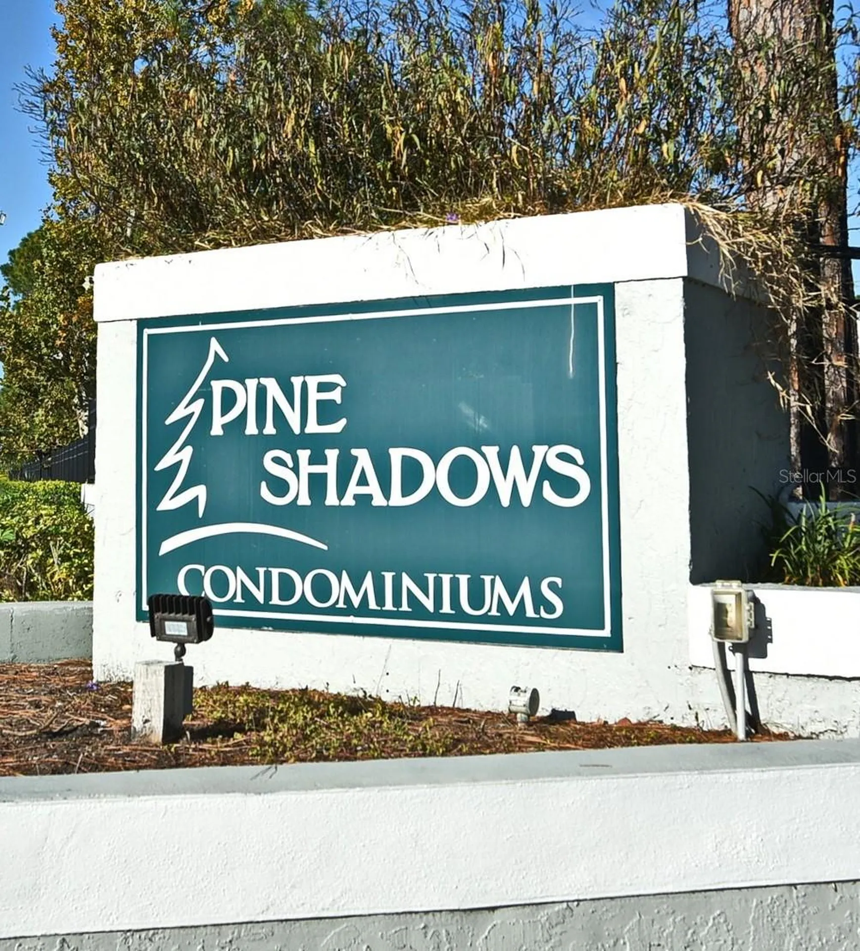 5564 Slash Pine Court Orlando FL 32811