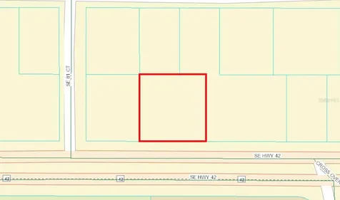 Tbd SE Highway 42 Summerfield FL 34491