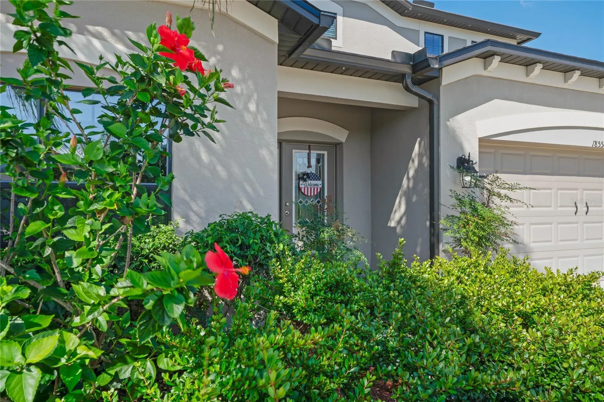 18558 Cortes Creek Boulevard Spring Hill FL 34610