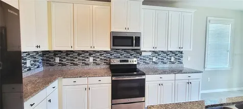 18558 Cortes Creek Boulevard Spring Hill FL 34610