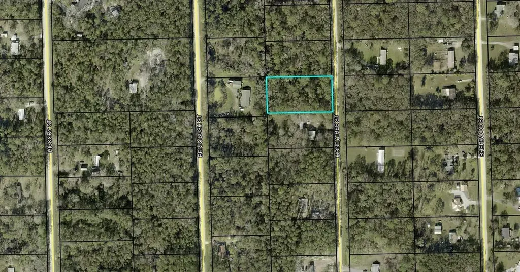 1230 Honeytree Street Bunnell FL 32110