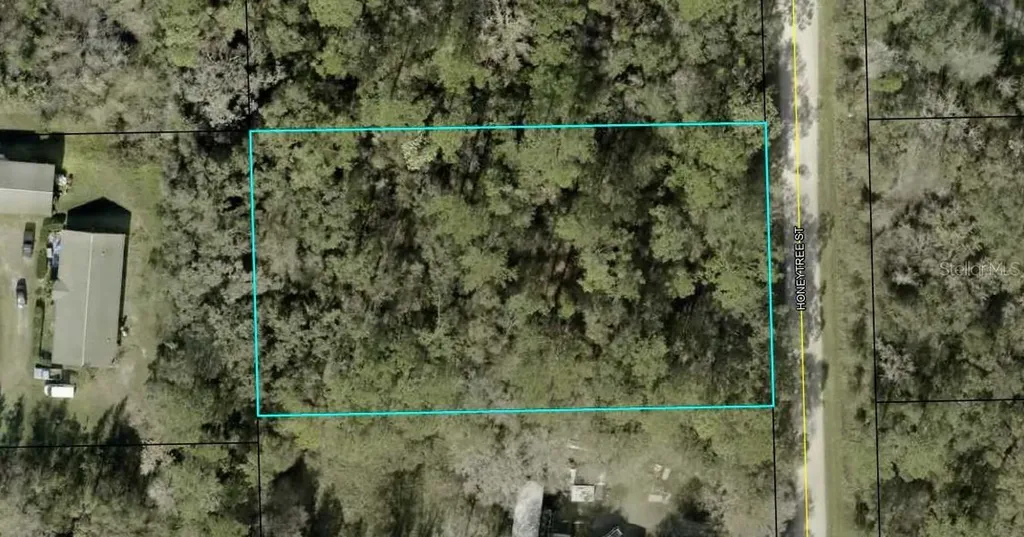 1230 Honeytree Street Bunnell FL 32110