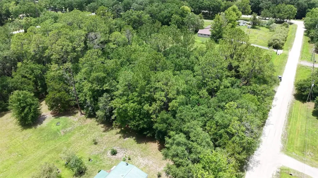 1230 Honeytree Street Bunnell FL 32110