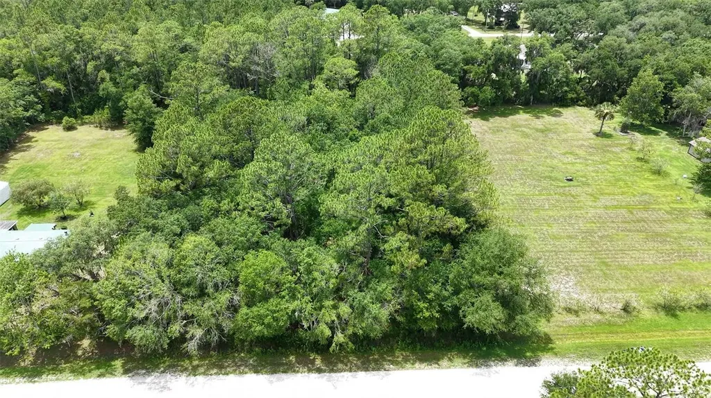 1230 Honeytree Street Bunnell FL 32110