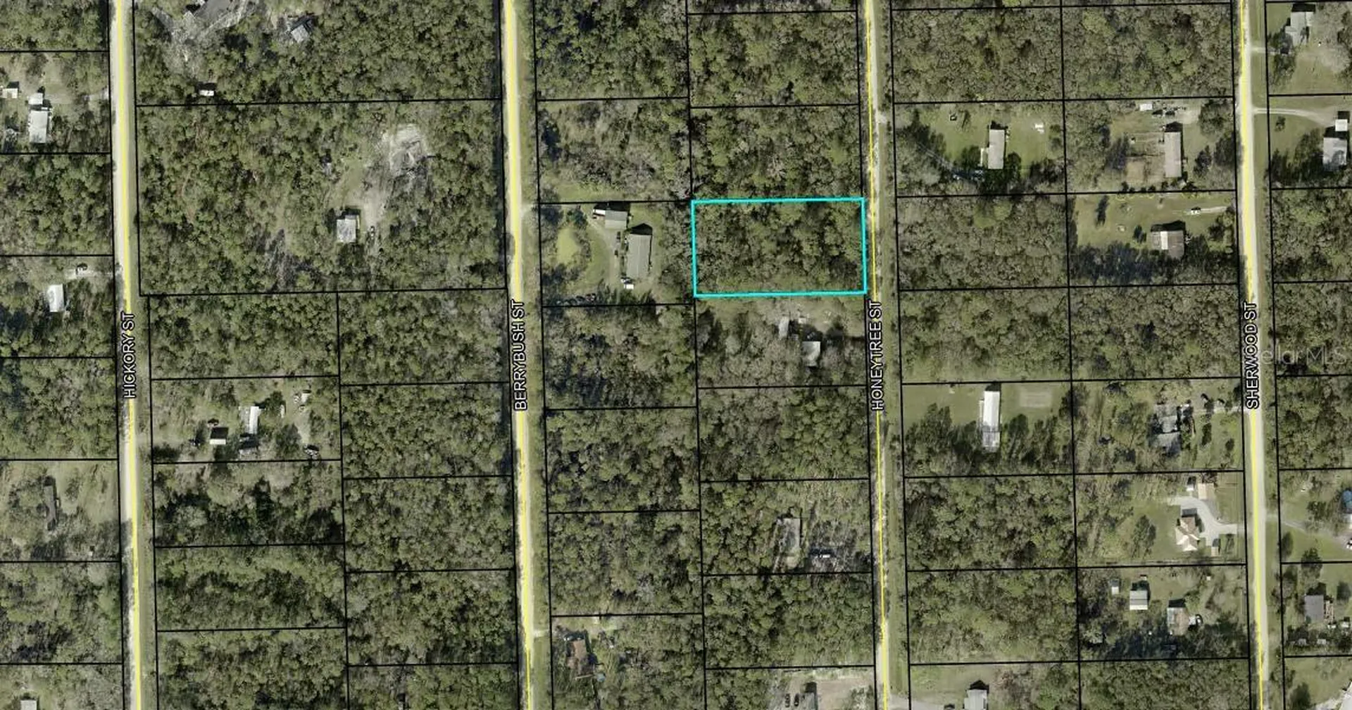 1230 Honeytree Street Bunnell FL 32110