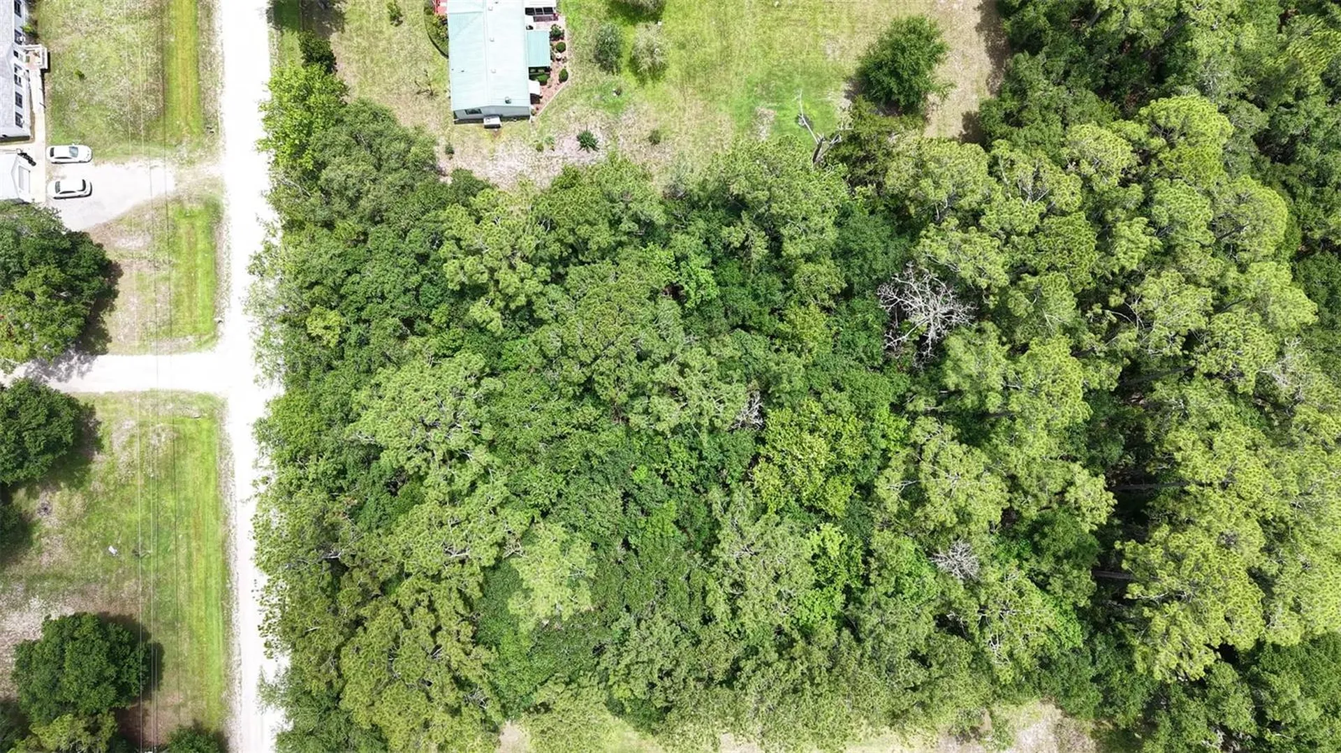 1230 Honeytree Street Bunnell FL 32110