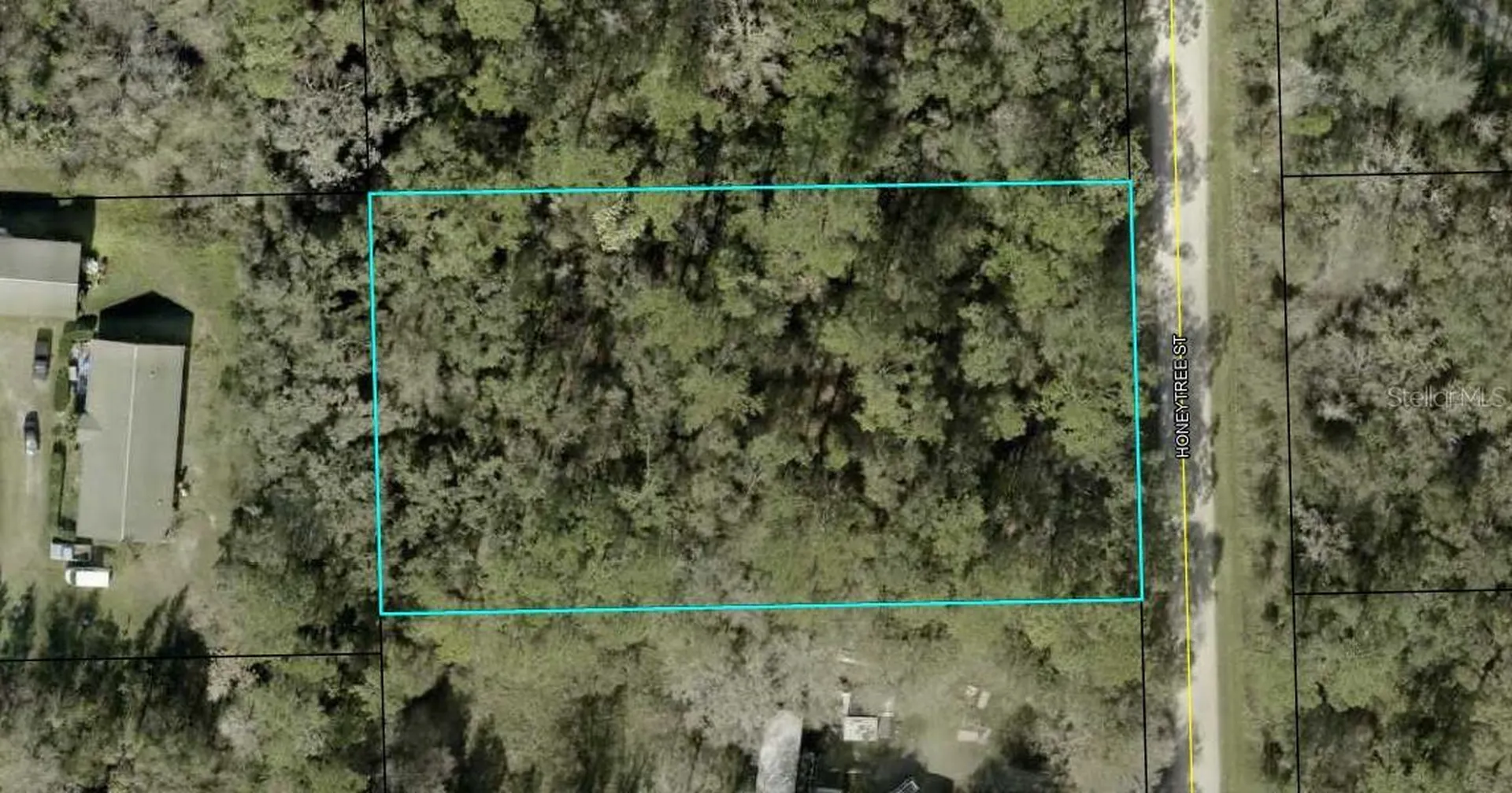 1230 Honeytree Street Bunnell FL 32110