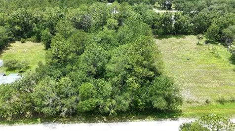 1230 Honeytree Street Bunnell FL 32110
