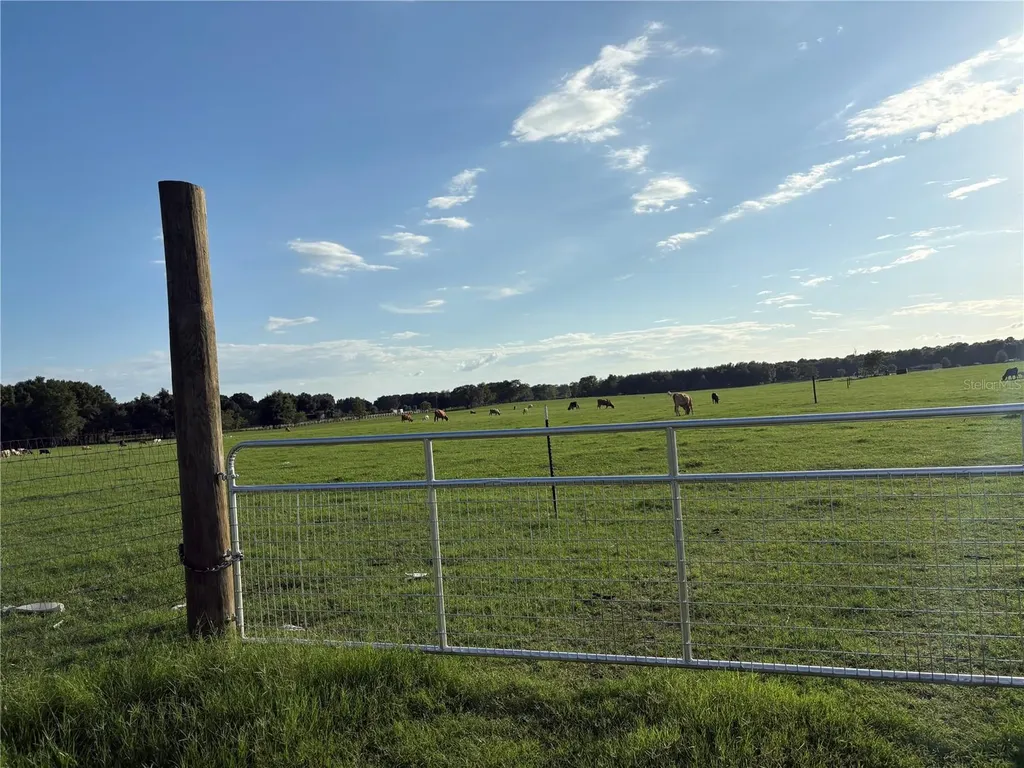 13994 County Road 209 Oxford FL 34484