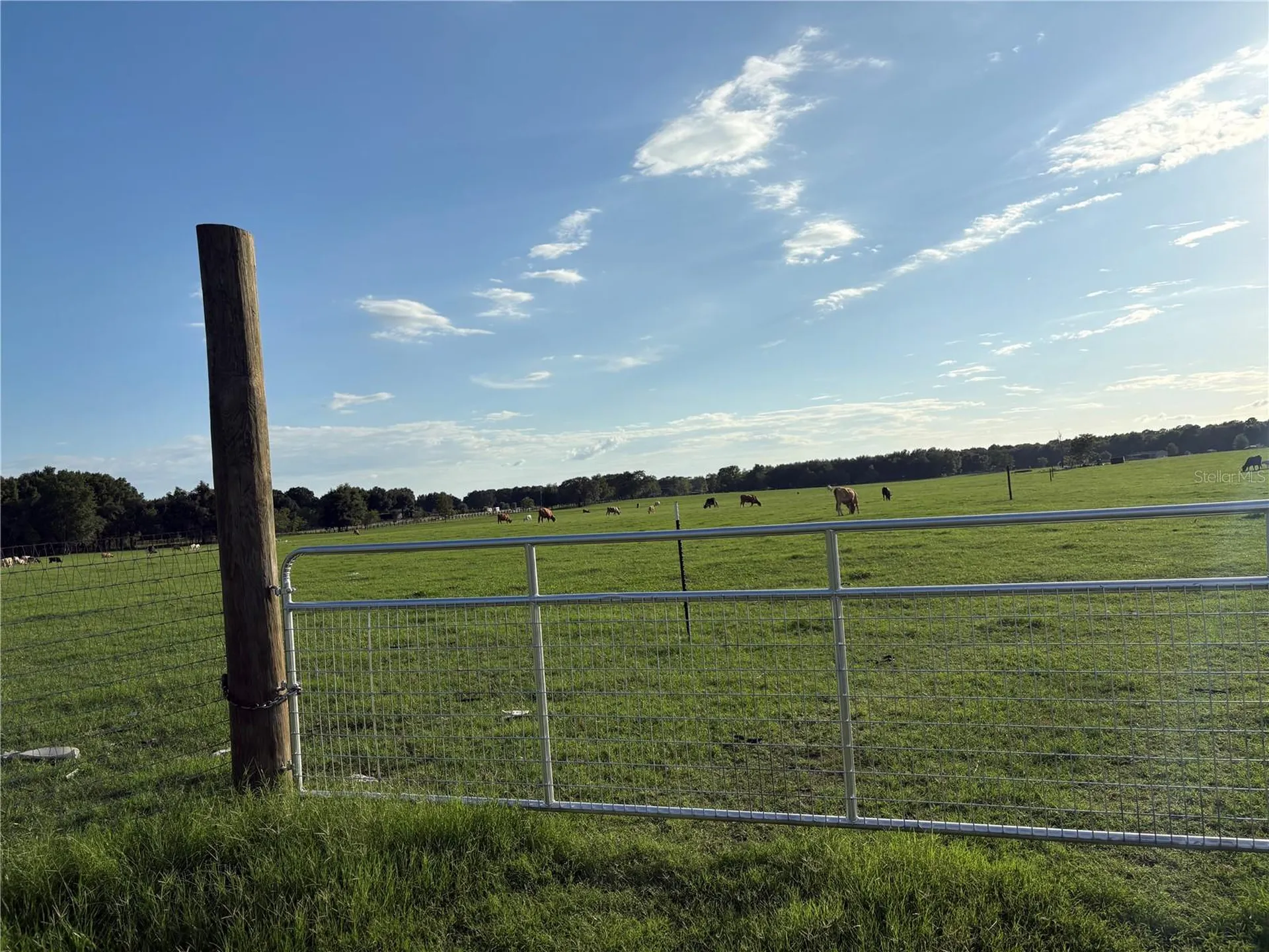 13994 County Road 209 Oxford FL 34484