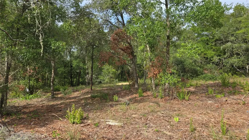4811 N Redwood Avenue Hernando FL 34442