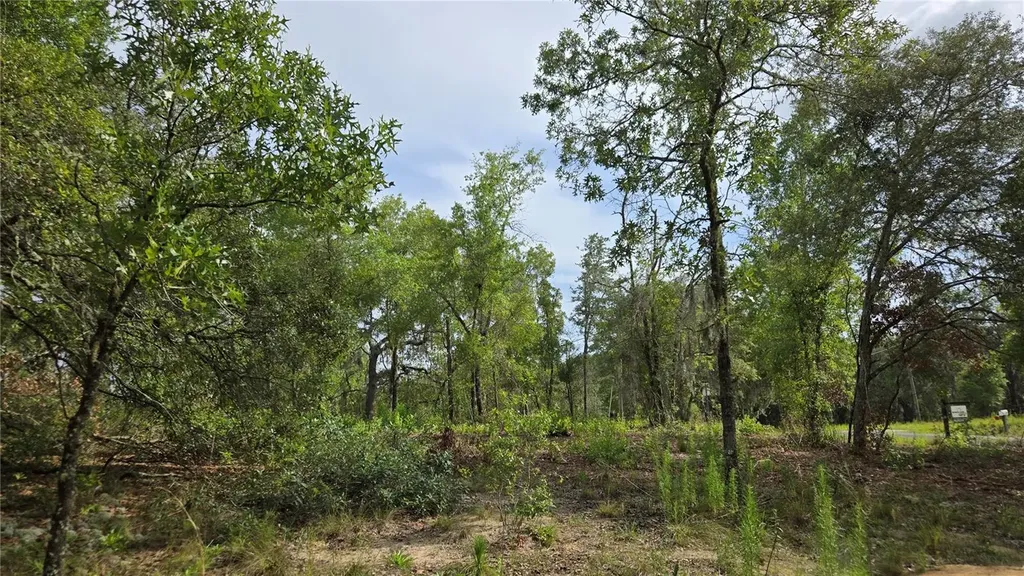 4811 N Redwood Avenue Hernando FL 34442