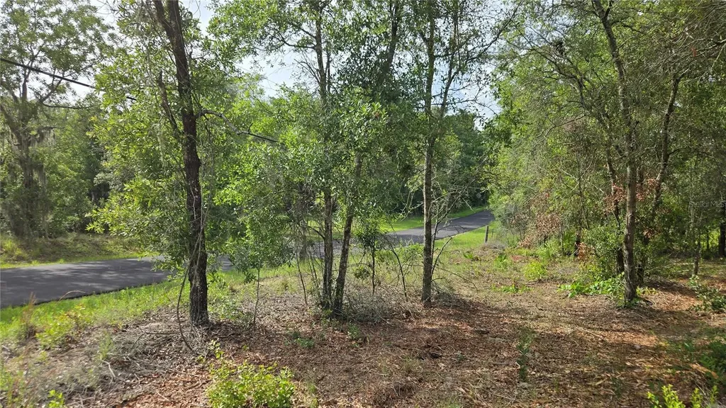 4811 N Redwood Avenue Hernando FL 34442
