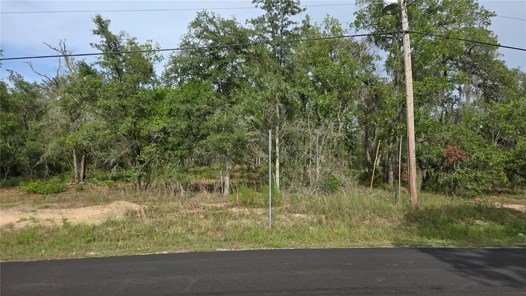 4811 N Redwood Avenue Hernando FL 34442