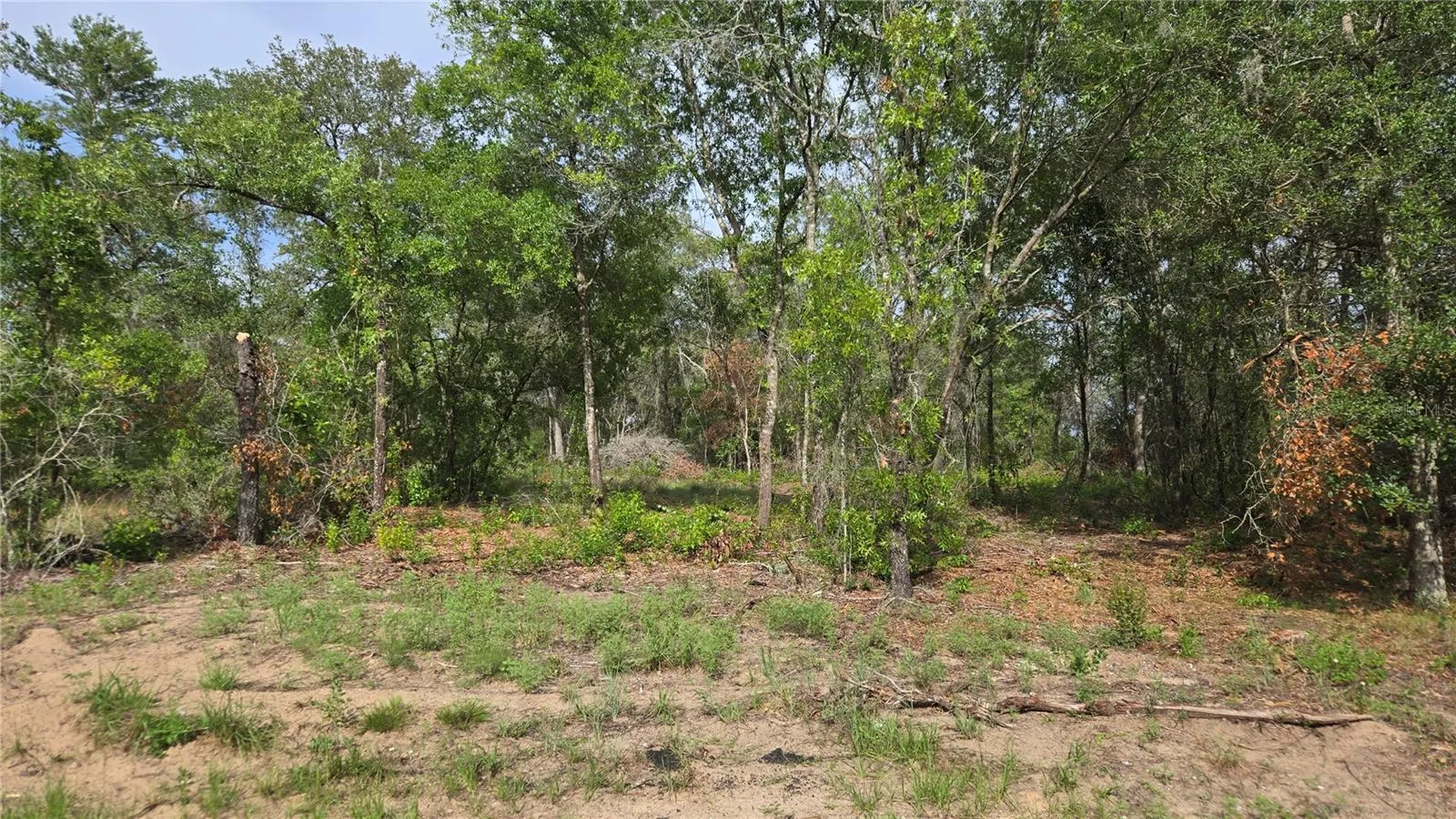 4811 N Redwood Avenue Hernando FL 34442