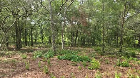 4811 N Redwood Avenue Hernando FL 34442