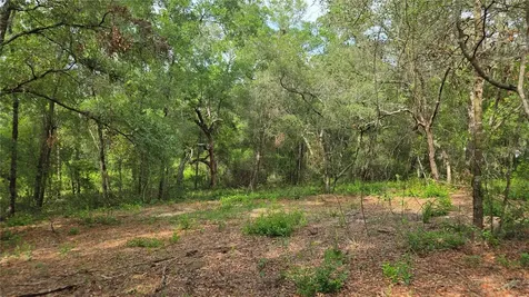 4811 N Redwood Avenue Hernando FL 34442