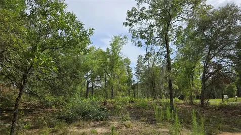 4811 N Redwood Avenue Hernando FL 34442