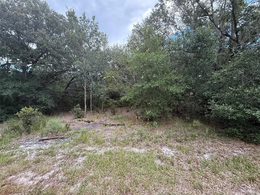1012 Wildflower Street Lake Placid FL 33852