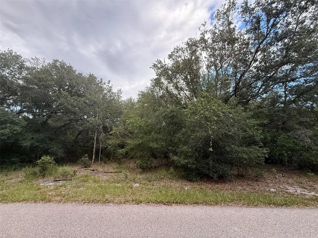1012 Wildflower Street Lake Placid FL 33852