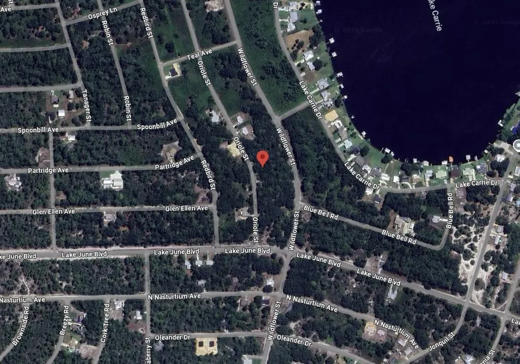1012 Wildflower Street Lake Placid FL 33852