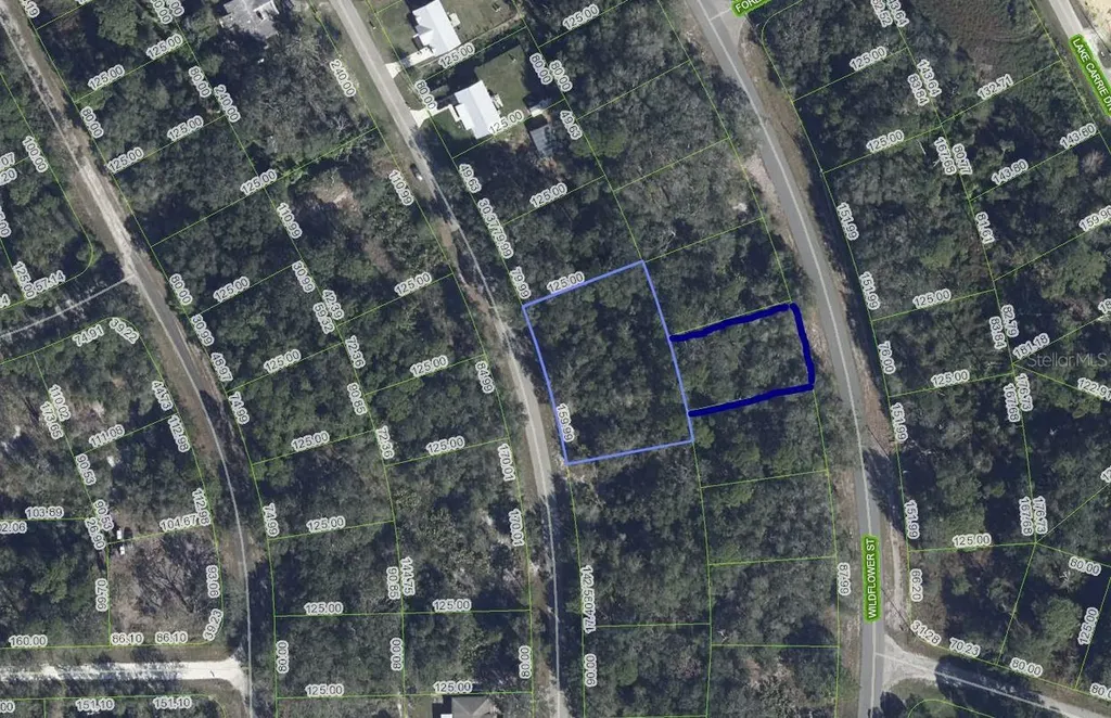 1012 Wildflower Street Lake Placid FL 33852