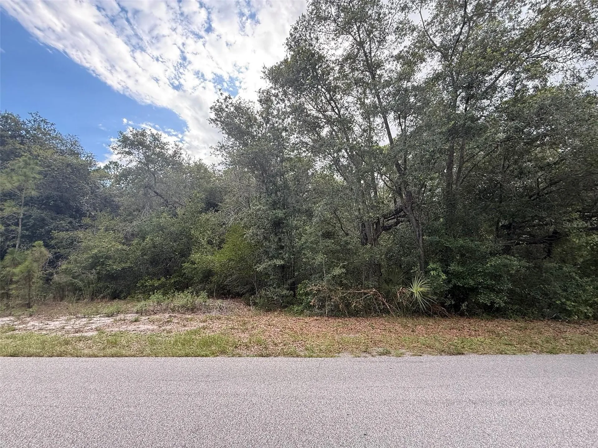 1012 Wildflower Street Lake Placid FL 33852
