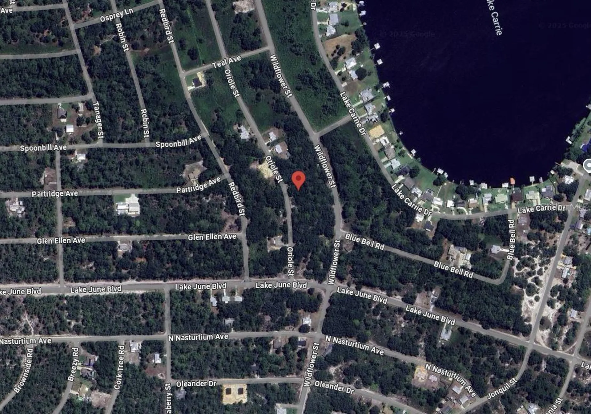 1012 Wildflower Street Lake Placid FL 33852
