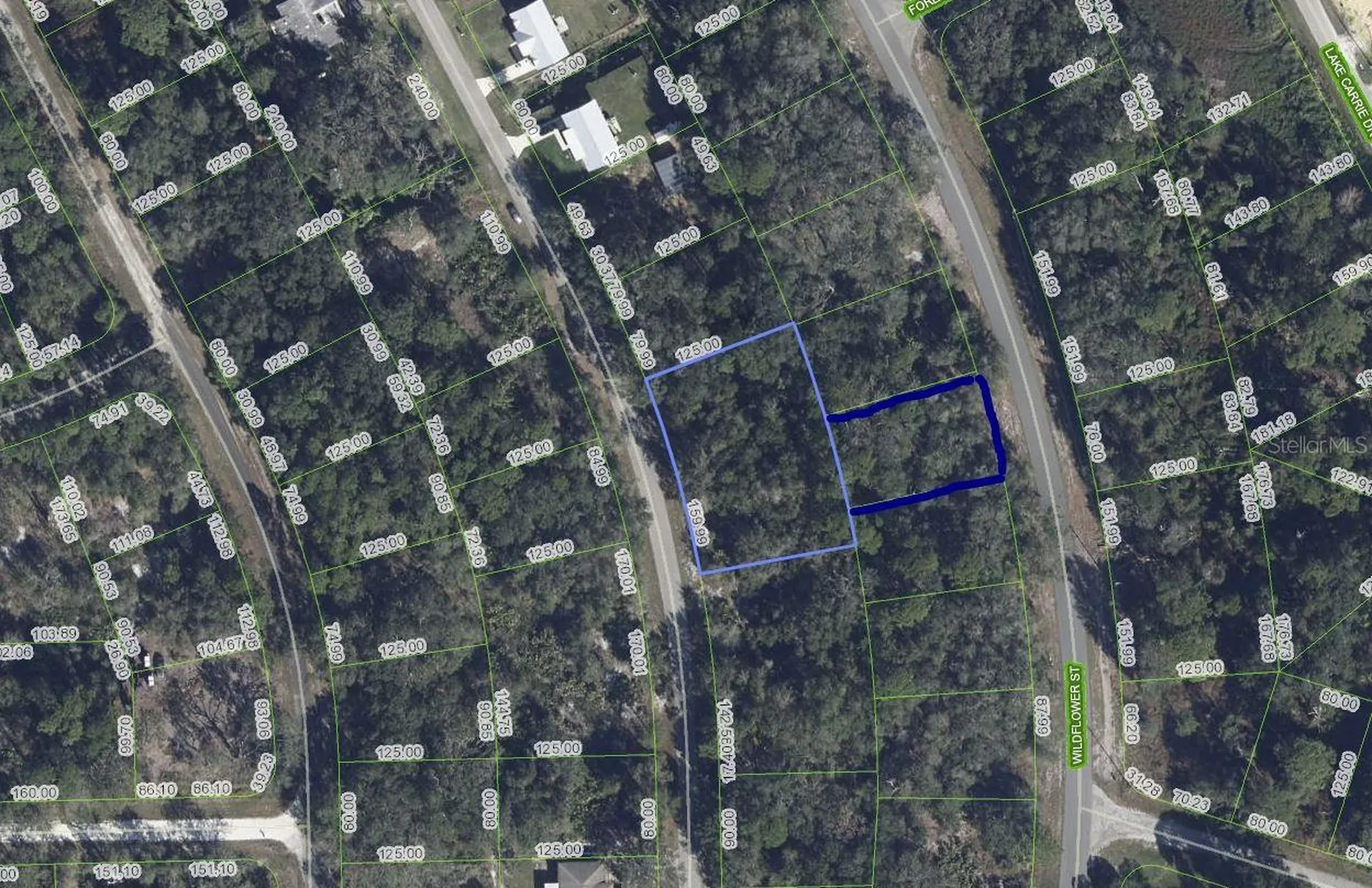 1012 Wildflower Street Lake Placid FL 33852