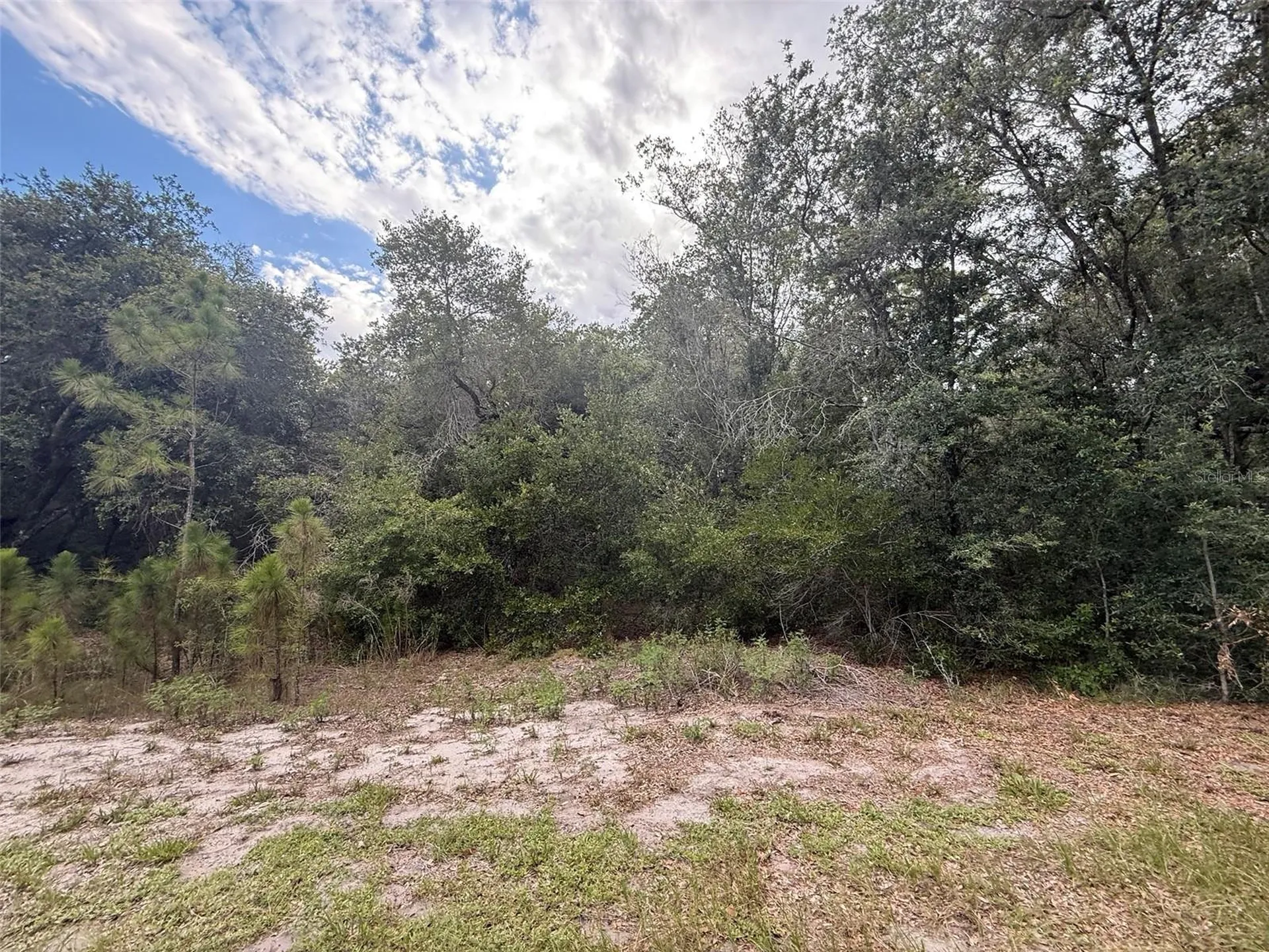 1012 Wildflower Street Lake Placid FL 33852