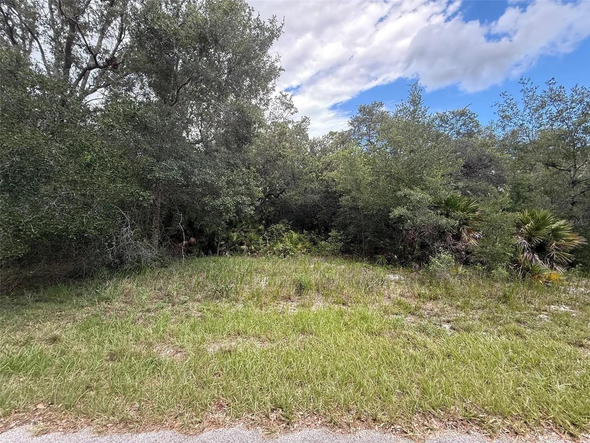 1012 Wildflower Street Lake Placid FL 33852