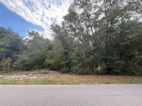 1012 Wildflower Street Lake Placid FL 33852