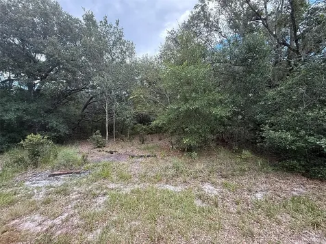 1012 Wildflower Street Lake Placid FL 33852