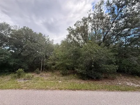 1012 Wildflower Street Lake Placid FL 33852