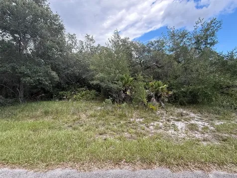 1012 Wildflower Street Lake Placid FL 33852