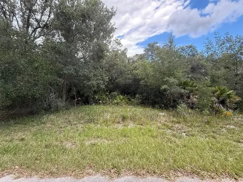 1012 Wildflower Street Lake Placid FL 33852