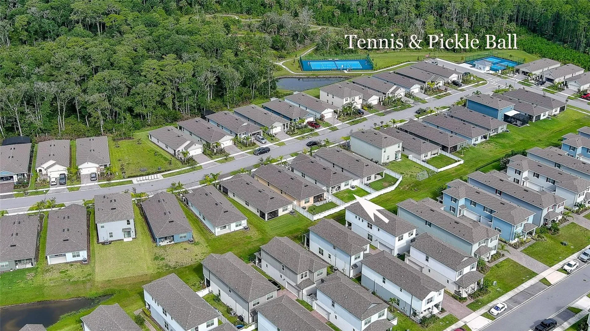 349 Caryota Court New Smyrna Beach FL 32168