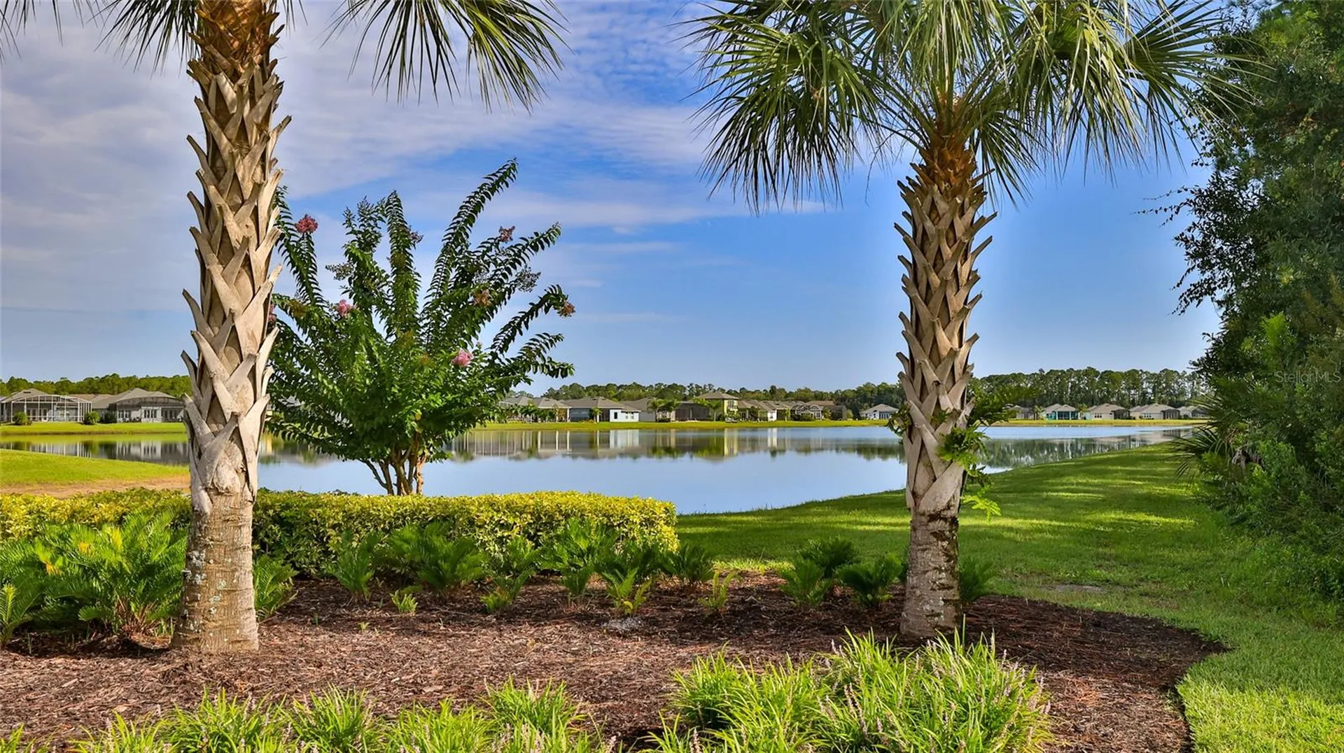 349 Caryota Court New Smyrna Beach FL 32168