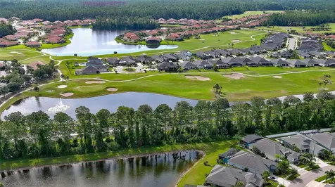 349 Caryota Court New Smyrna Beach FL 32168