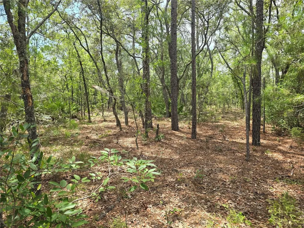 6468 N Baylor Terrace Dunnellon FL 34433