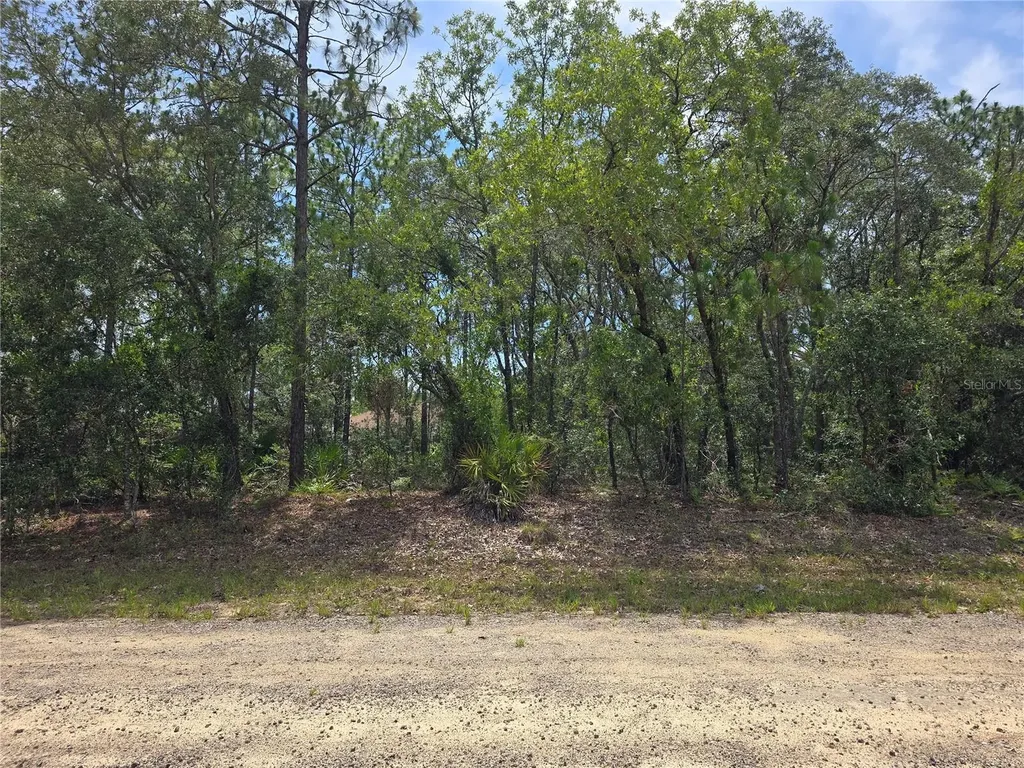 6468 N Baylor Terrace Dunnellon FL 34433