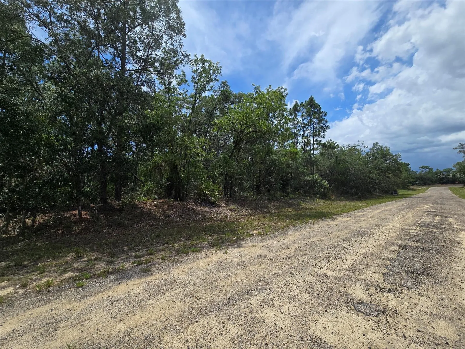 6468 N Baylor Terrace Dunnellon FL 34433