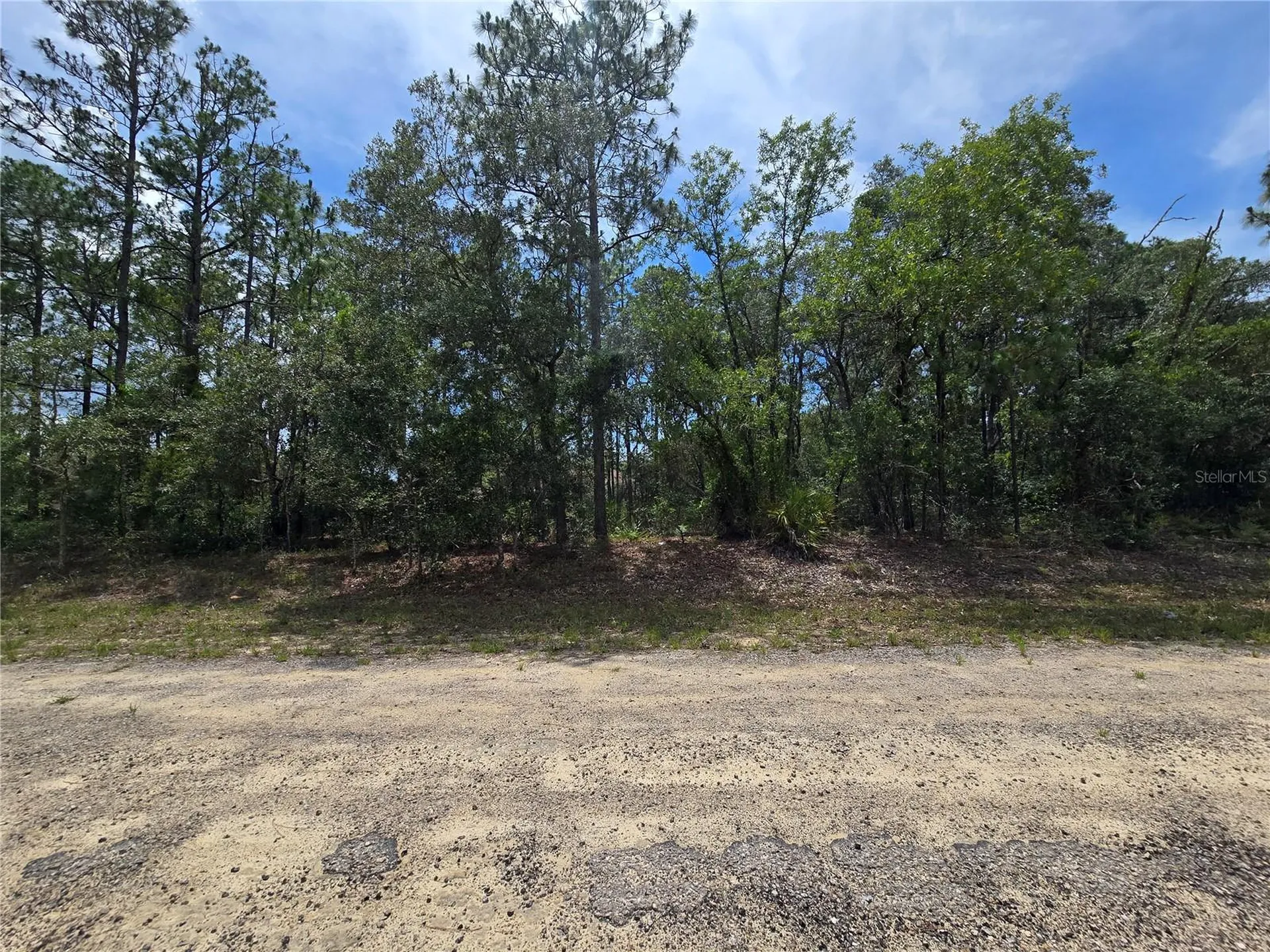 6468 N Baylor Terrace Dunnellon FL 34433